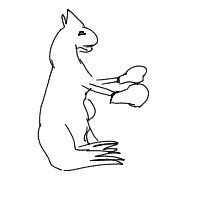 kangaroo boxing drawing by venkore in Artbitrator