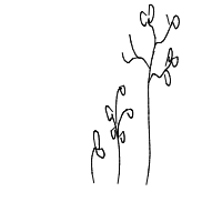 plant growing timelapse drawing by raccoon24 in Artbitrator