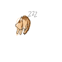 sleeping cat drawing by zamn in Artbitrator