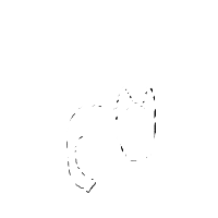 sleeping cat drawing by yuki_black_clover_anime_lover in Artbitrator