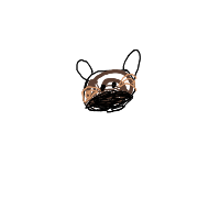 raccoon trash panda drawing by turtleybananas in Artbitrator