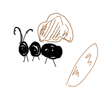 ant carrying giant crumb drawing by chapa in Artbitrator