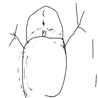 waving snowman drawing by saani in Artbitrator