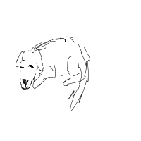 sleepy dog drawing by abstract-tucan-wsw in Artbitrator