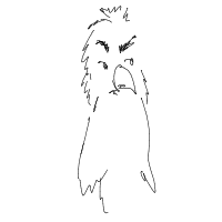 angry bird drawing by abstract-tucan-wsw in Artbitrator