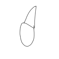 party hat drawing by commonmann in Artbitrator