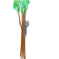 koala hugging tree drawing by ivory in Artbitrator