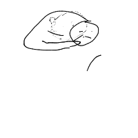 sleeping cat drawing by kishhu in Artbitrator