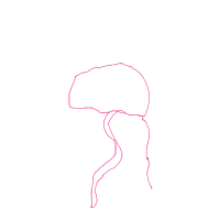 jellyfish drawing by allia in Artbitrator