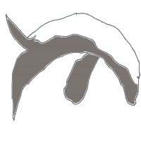 whale breaching drawing by allia in Artbitrator