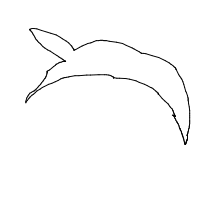 dolphin drawing by allia in Artbitrator
