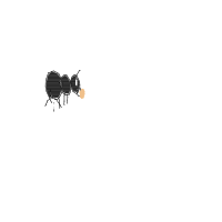 ant carrying giant crumb drawing by rafsw32 in Artbitrator