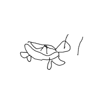 sea turtle drawing by shaquespere in Artbitrator