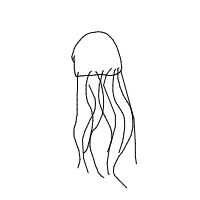 jellyfish drawing by shaquespere in Artbitrator