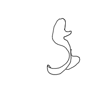 seahorse drawing by shaquespere in Artbitrator