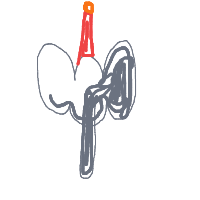 elephant with a hat drawing by seker in Artbitrator