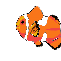 clownfish drawing by ajxr in Artbitrator