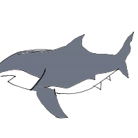 great white shark drawing by ajxr in Artbitrator