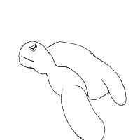 sea turtle drawing by ajxr in Artbitrator
