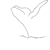 whale breaching drawing by ajxr in Artbitrator
