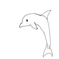 dolphin drawing by ajxr in Artbitrator
