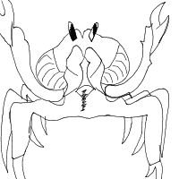 crab drawing by ajxr in Artbitrator