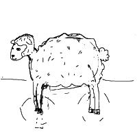 sheep drawing by Jacob in Artbitrator