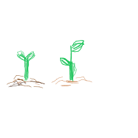 plant growing timelapse drawing by nienie in Artbitrator