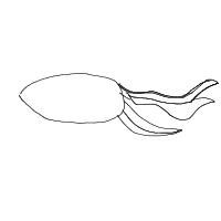 goldfish drawing by test in Artbitrator