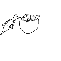 bird building nest drawing by riri in Artbitrator