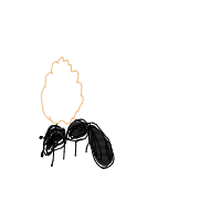 ant carrying giant crumb drawing by itisme in Artbitrator
