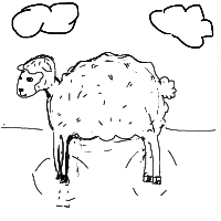 sheep drawing by Jacob in Artbitrator