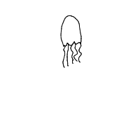 jellyfish drawing by drsahiba in Artbitrator