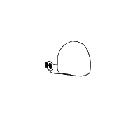 turtle with glasses drawing by hayami in Artbitrator