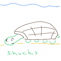 shy turtle drawing by slipperyeel in Artbitrator