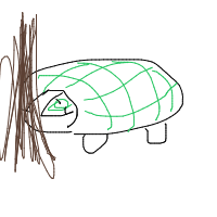 shy turtle drawing by larnlea22 in Artbitrator