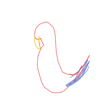 parrot drawing by minimin in Artbitrator