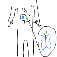 butterflies in stomach drawing by larnlea22 in Artbitrator
