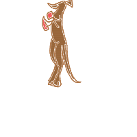 kangaroo boxing drawing by darkelf-1 in Artbitrator