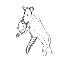 dog catching frisbee drawing by muhjoy in Artbitrator