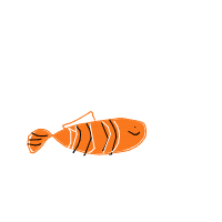 clownfish drawing by minimin in Artbitrator