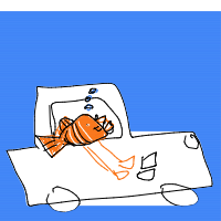 goldfish driving car drawing by minimin in Artbitrator