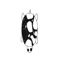 shy turtle drawing by inkypetals in Artbitrator