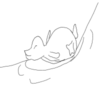 penguin sliding drawing by inkypetals in Artbitrator