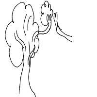 tree giving high five drawing by inkypetals in Artbitrator