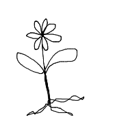 flower dancing drawing by darew in Artbitrator