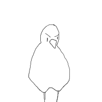 angry bird drawing by xw31rdc0r3x in Artbitrator