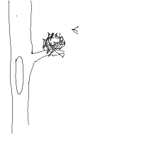 bird building nest drawing by dinomoney in Artbitrator