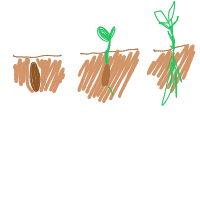 plant growing timelapse drawing by jaxyhan in Artbitrator