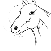 horse drawing by Emlyn in Artbitrator